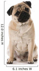 Pug Wall Decal