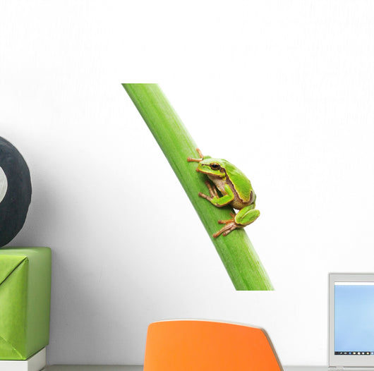 Frog Sitting Leaf Wall Decal