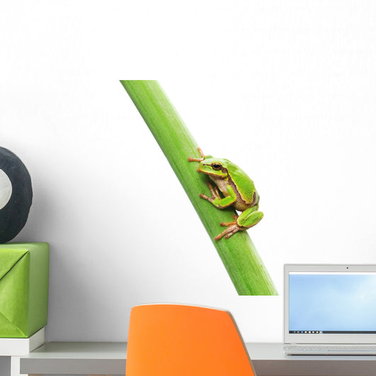 Frog Sitting Leaf Wall Decal