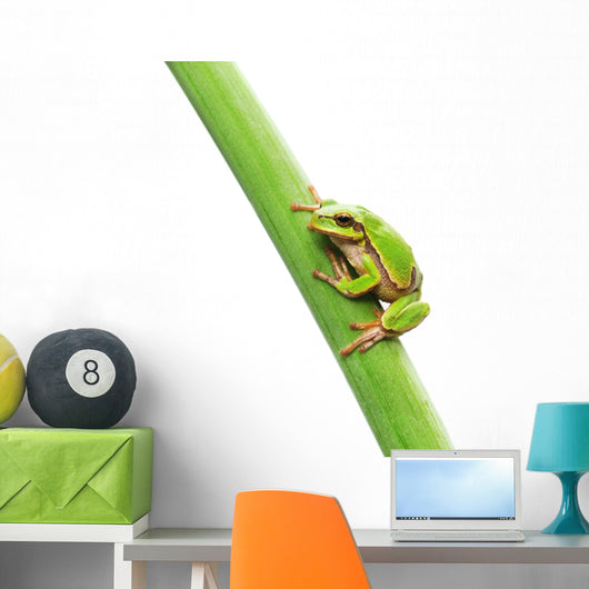 Frog Sitting Leaf Wall Decal