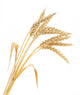 Wheat Bunch Wall Decal