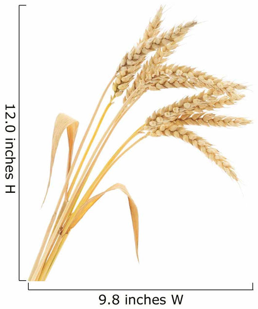 Wheat Bunch Wall Decal