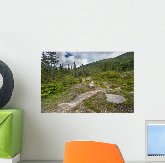 Rugged Alpine Terrain Top 2 Wall Decal