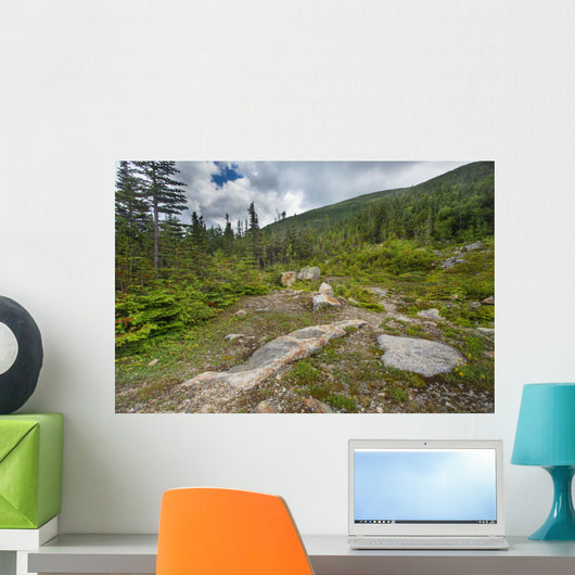 Rugged Alpine Terrain Top 2 Wall Decal