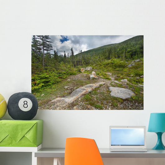 Rugged Alpine Terrain Top 2 Wall Decal