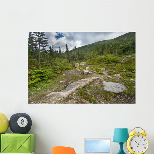 Rugged Alpine Terrain Top 2 Wall Decal