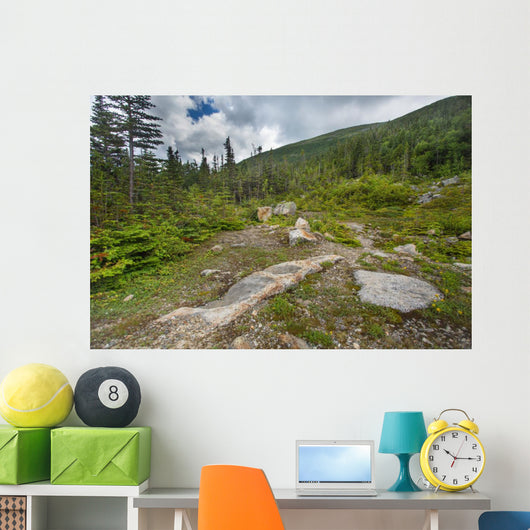 Rugged Alpine Terrain Top 2 Wall Decal
