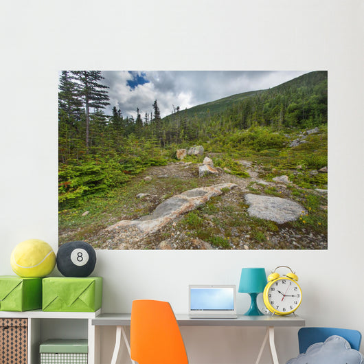 Rugged Alpine Terrain Top 2 Wall Decal