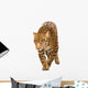 Jaguar Panthera Onca Wall Decal