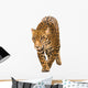 Jaguar Panthera Onca Wall Decal