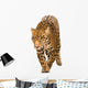 Jaguar Panthera Onca Wall Decal