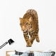 Jaguar Panthera Onca Wall Decal