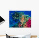 Soft Coral Reef Scene Wall Mural