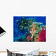 Soft Coral Reef Scene Wall Mural