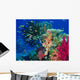 Soft Coral Reef Scene Wall Mural