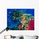 Soft Coral Reef Scene Wall Mural