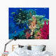 Soft Coral Reef Scene Wall Mural