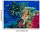 Soft Coral Reef Scene Wall Mural