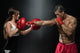 Young Fit Man Fighting A Woman Wall Decal