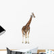 Giraffe White Wall Decal