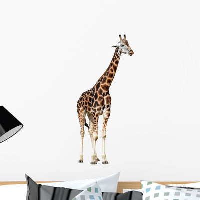 Giraffe White Wall Decal shown on a wall