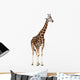 Giraffe White Wall Decal