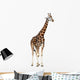 Giraffe White Wall Decal