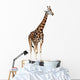 Giraffe White Wall Decal