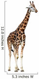 Giraffe White Wall Decal