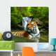 Siberian Tiger Water Wall Decal