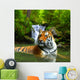 Siberian Tiger Water Wall Decal