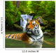 Siberian Tiger Water Wall Decal