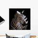 A Headshot of a Burchell's Zebra Wall Mural