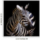 A Headshot of a Burchell's Zebra Wall Mural