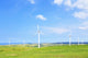 Soya Misaki Wind Farm Wall Decal