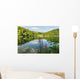 Black Lake Forest Wall Mural