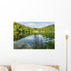 Black Lake Forest Wall Mural