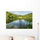 Black Lake Forest Wall Mural