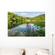 Black Lake Forest Wall Mural