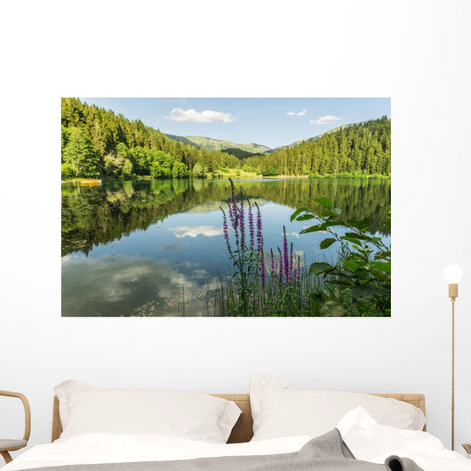 Black Lake Forest Wall Mural