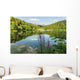 Black Lake Forest Wall Mural