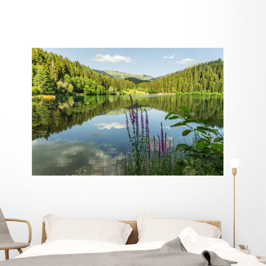 Black Lake Forest Wall Mural