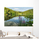 Black Lake Forest Wall Mural