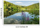 Black Lake Forest Wall Mural