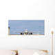 head on commercial jet Wall Mural