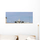 head on commercial jet Wall Mural