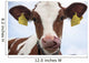 Swiss Cow Wall Decal