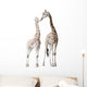 Two Nuzzling Giraffes Wall Decal