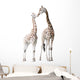 Two Nuzzling Giraffes Wall Decal