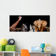 A group of animals are together on a black background with text Wall Mural